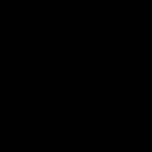 Meet your Posher, Annette